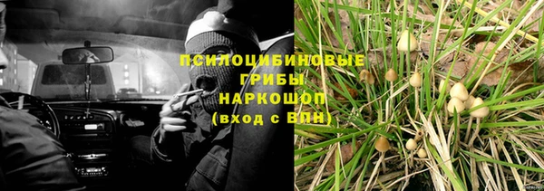 MESCALINE Чегем