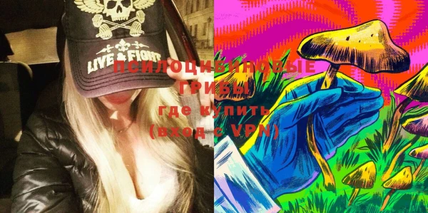 экстази Ельня