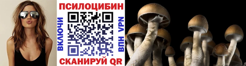 Галлюциногенные грибы мицелий  нарко площадка какой сайт  Валдай 