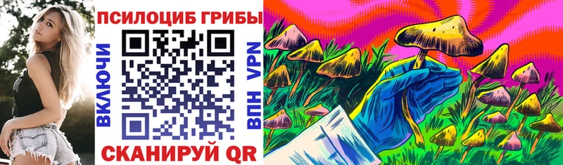 Псилоцибиновые грибы MAGIC MUSHROOMS Валдай